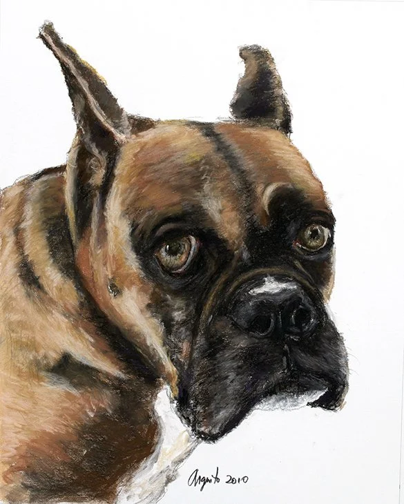 Pastel pet portrait of Ruby by Frank Argento