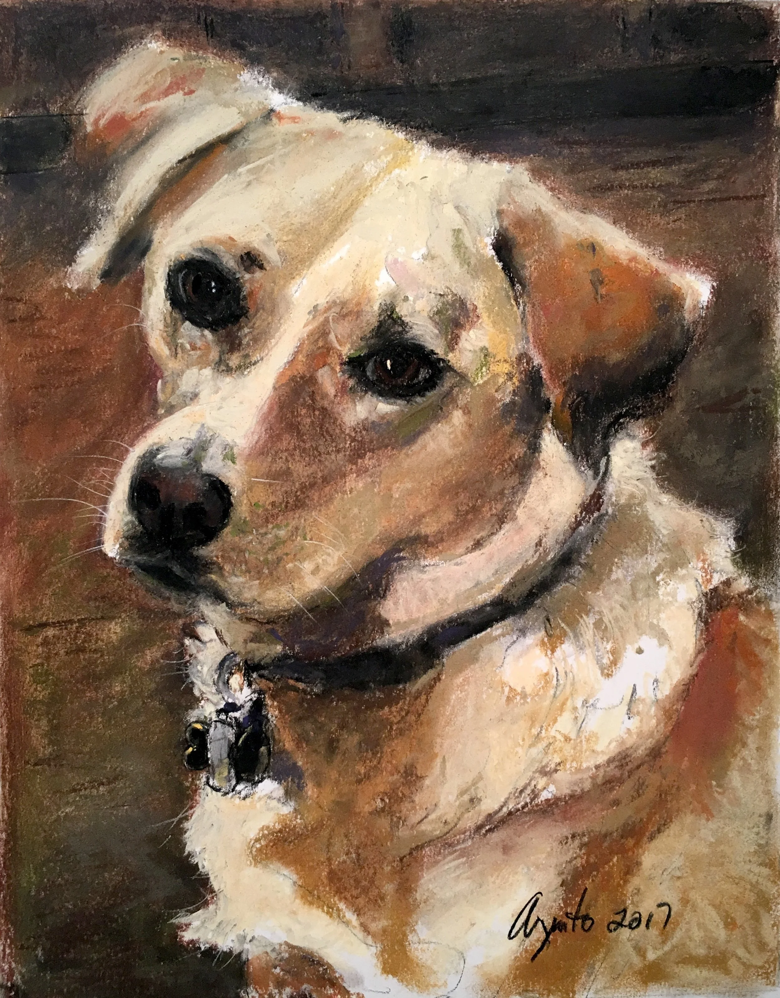 Pastel pet portrait of Savana by Frank Argento