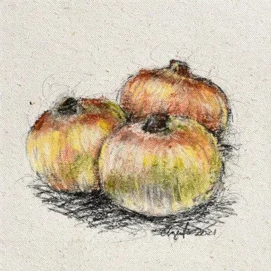 Onions by Frank Argento (detail view)