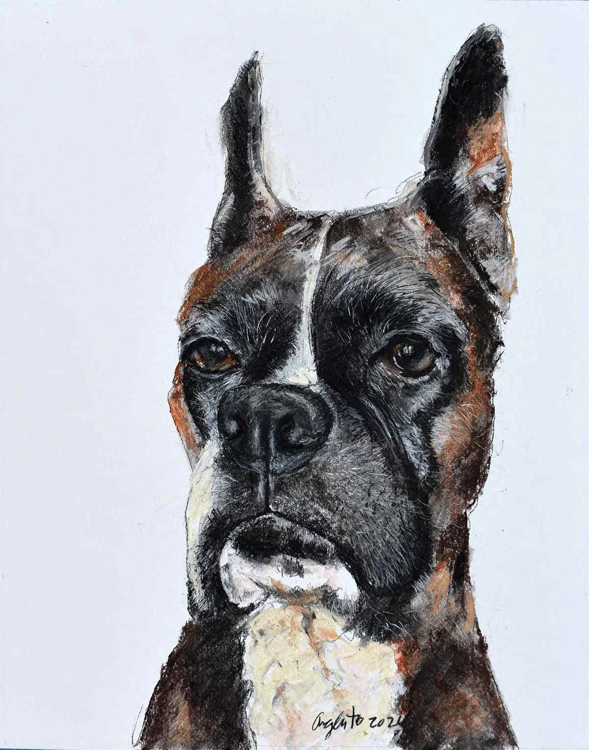 Pastel pet portrait of Star by Frank Argento