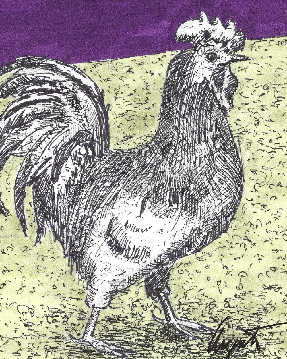 "Rooster" Fine Art Print on Canvas (Farm Series)