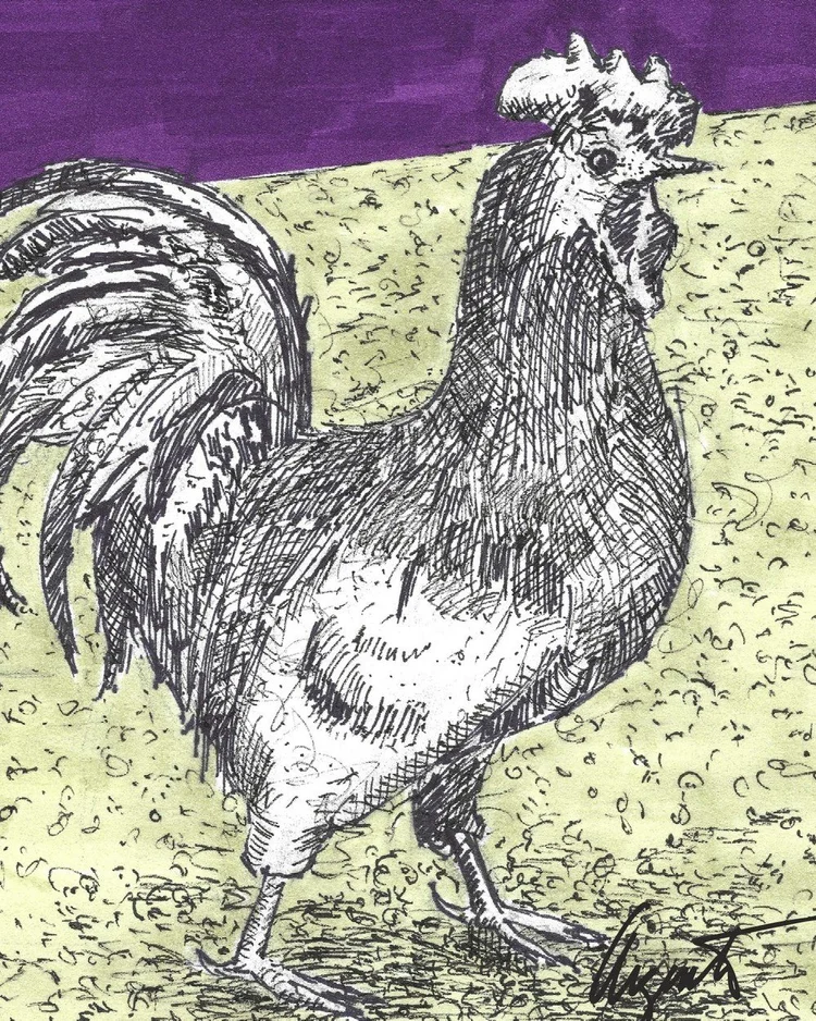 Close-up of Frank Argento’s Farm Series rooster (detail view)