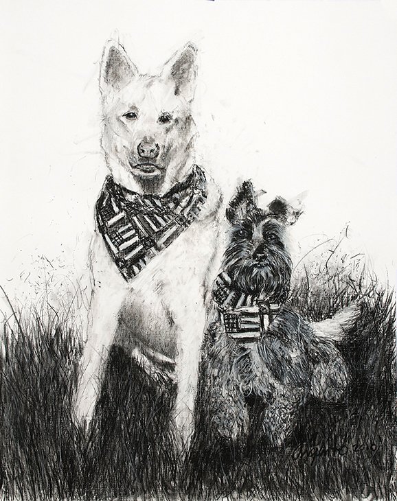 Charcoal pet portrait of Tango & Scoop by Frank Argento