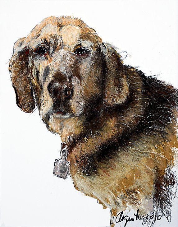 Pastel pet portrait of Sadie by Frank Argento