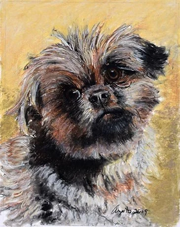 Pastel pet portrait of Treasure by Frank Argento
