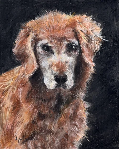 Pastel pet portrait of Lucy by Frank Argento