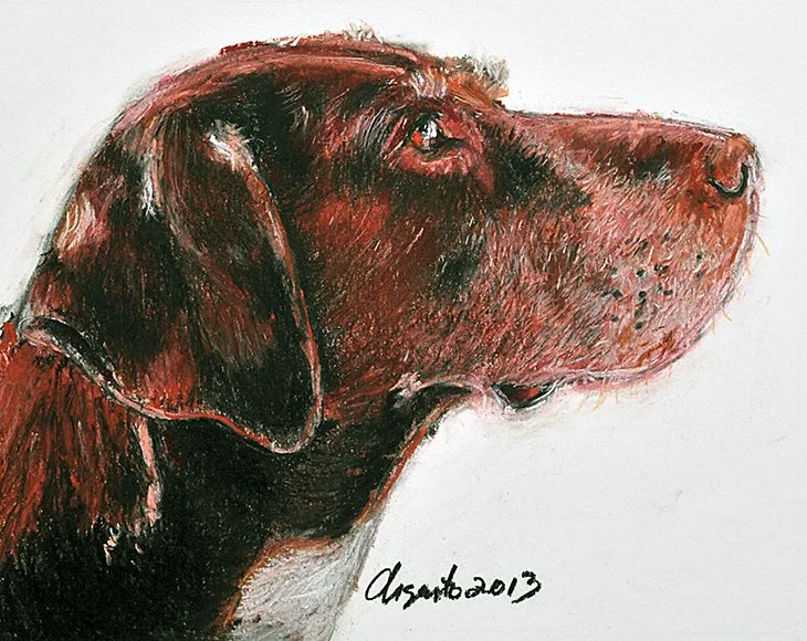 Pastel pet portrait of Godiva by Frank Argento