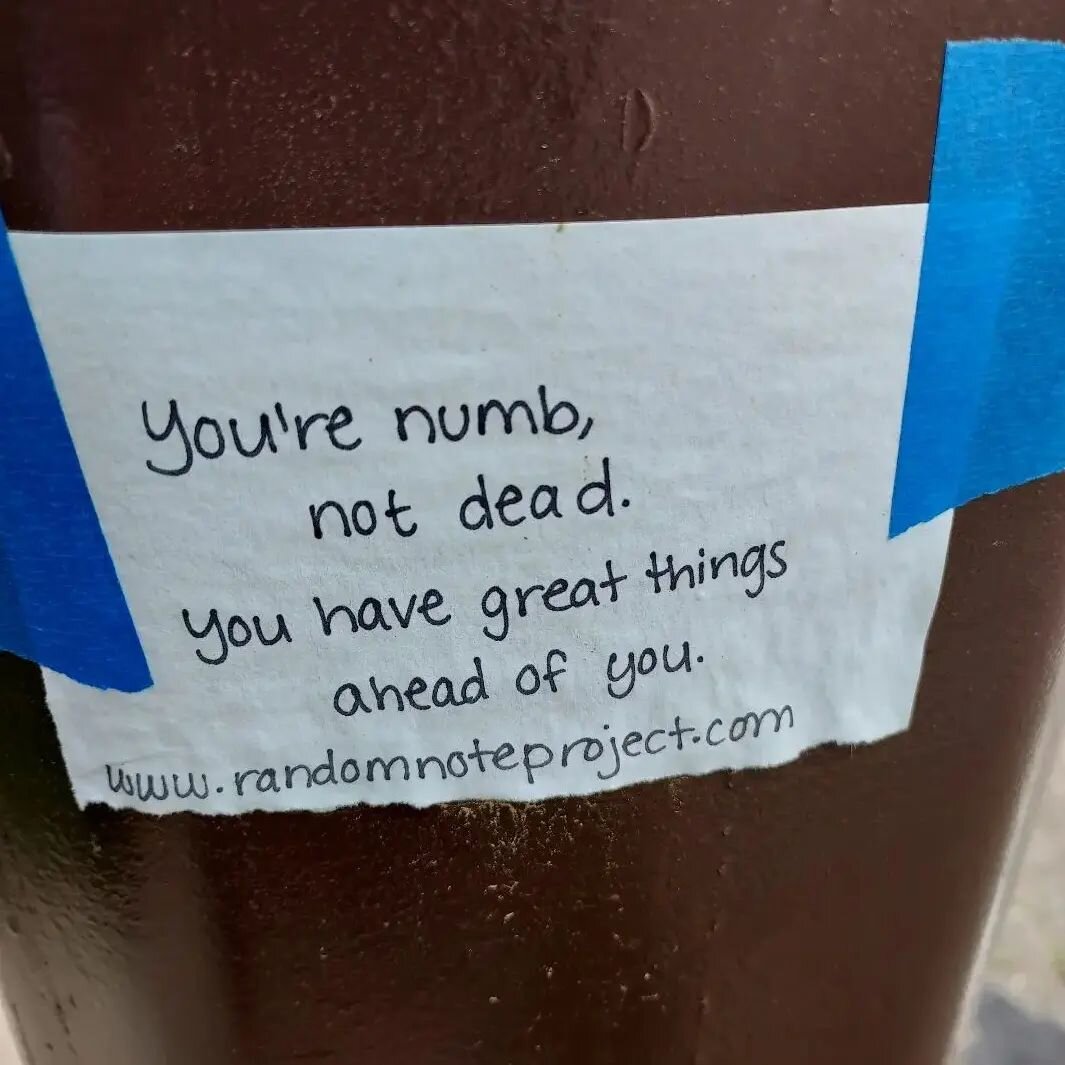 Barb missed seeing notes during morning walks, and was thrilled to see this one! It says, &quot;You're numb, not dead. You have great things ahead of you.&quot;
.
.
.
.
.
.
#RandomNoteProject #RandomNote #feelings #feelingalone #numb #Pittsburgh #ava