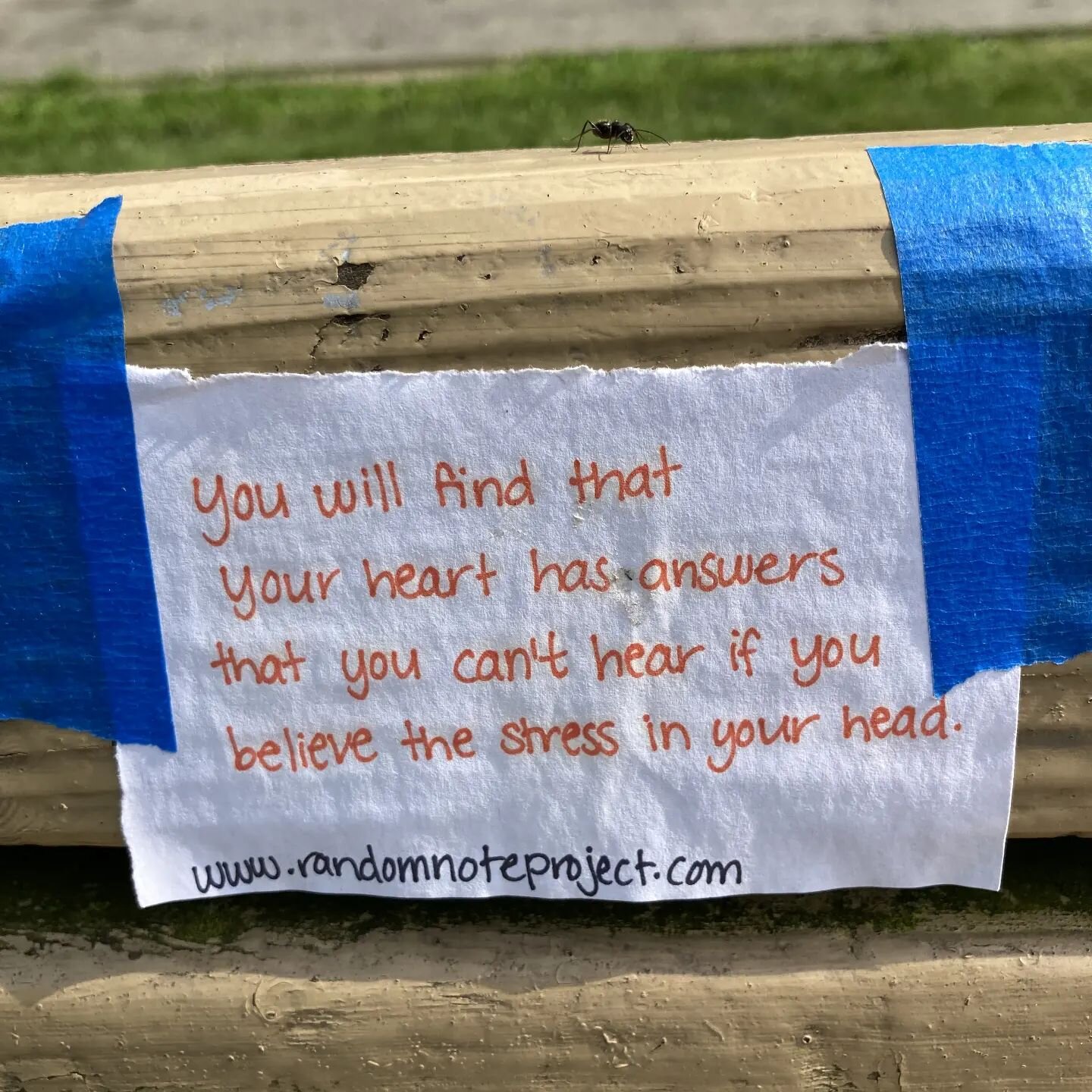 Colleen found a note in Friendship Park, Pittsburgh, PA, USA and writes, &quot;The words resonated with me and hit a nerve because stress/anxiety/fear inhibit problem-solving efforts and often block the heart&rsquo;s desire.&quot;

The note said, &qu