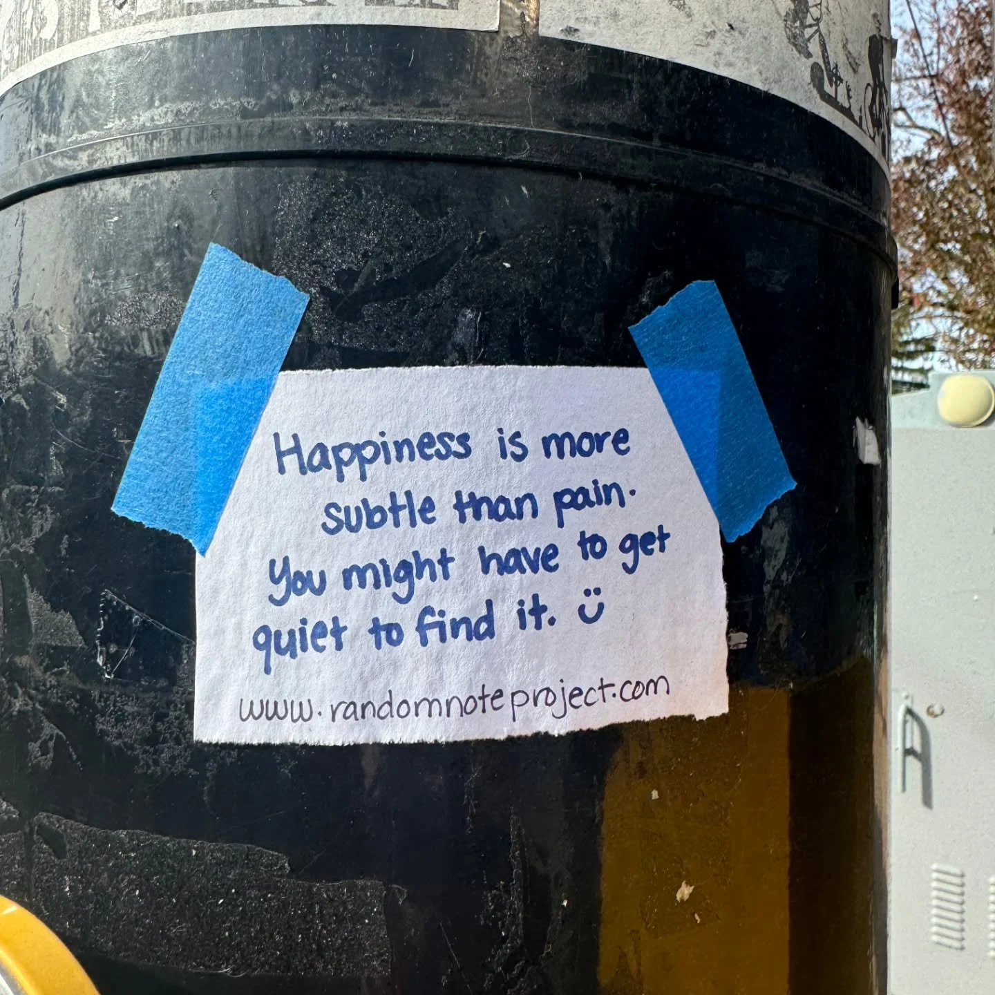 Hailey in Pittsburgh writes, &quot;Peace and quiet bring clarity and happiness.&quot; She speaks from experience. &quot;I already have everything I need to be grateful. If all I focus on is the noise of the pain, that&rsquo;s all I will feel.&quot;

