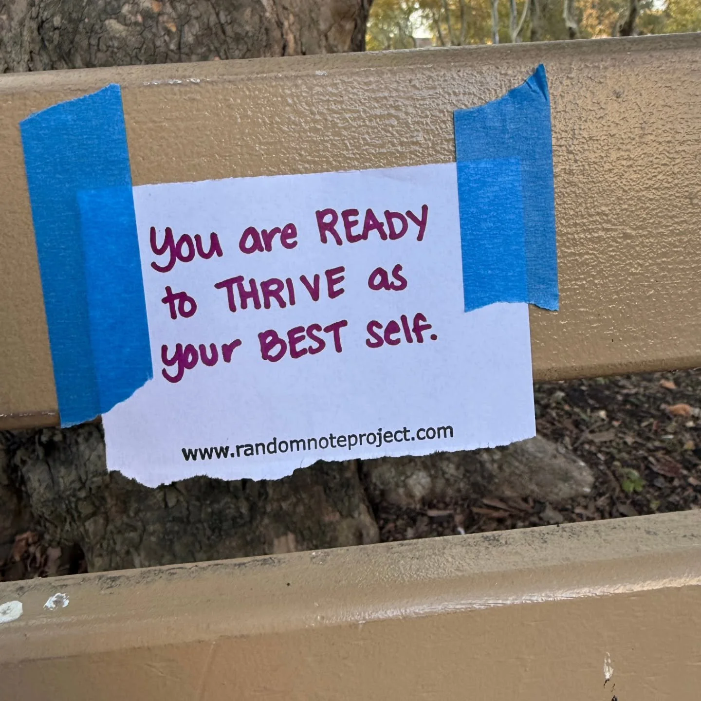&quot;My son and I found this note on a bench in front of the Carnegie Library! It gave my son and I encouragement on the way to our Walk to End Lupus! Thank you and God Bless You! I will pay it forward!&quot;

Thank you, Kari and her son, Eli, in Pi