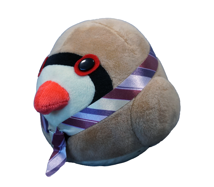 Shuu1.png