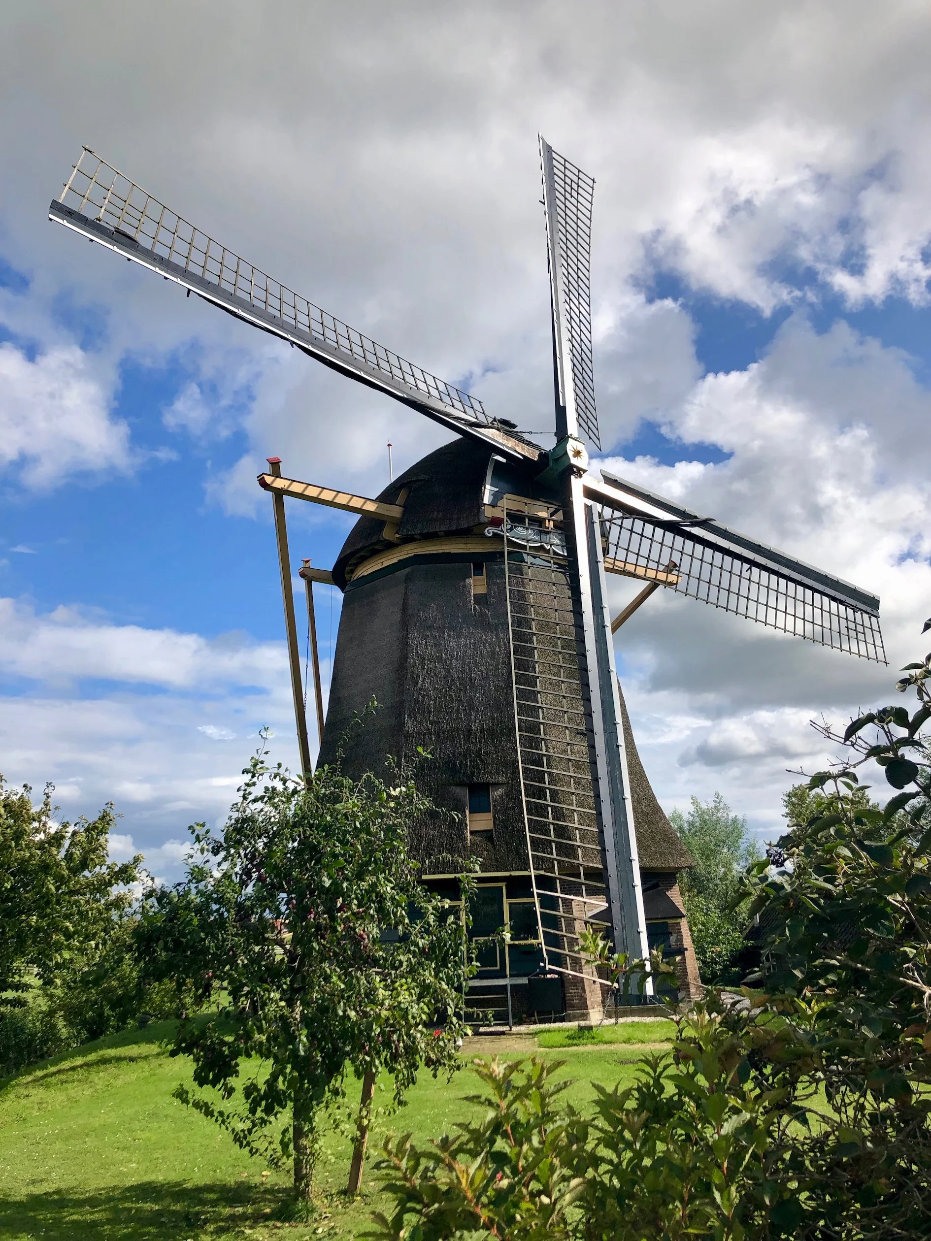 Amsterdam: Highlights (7 - 13 September)