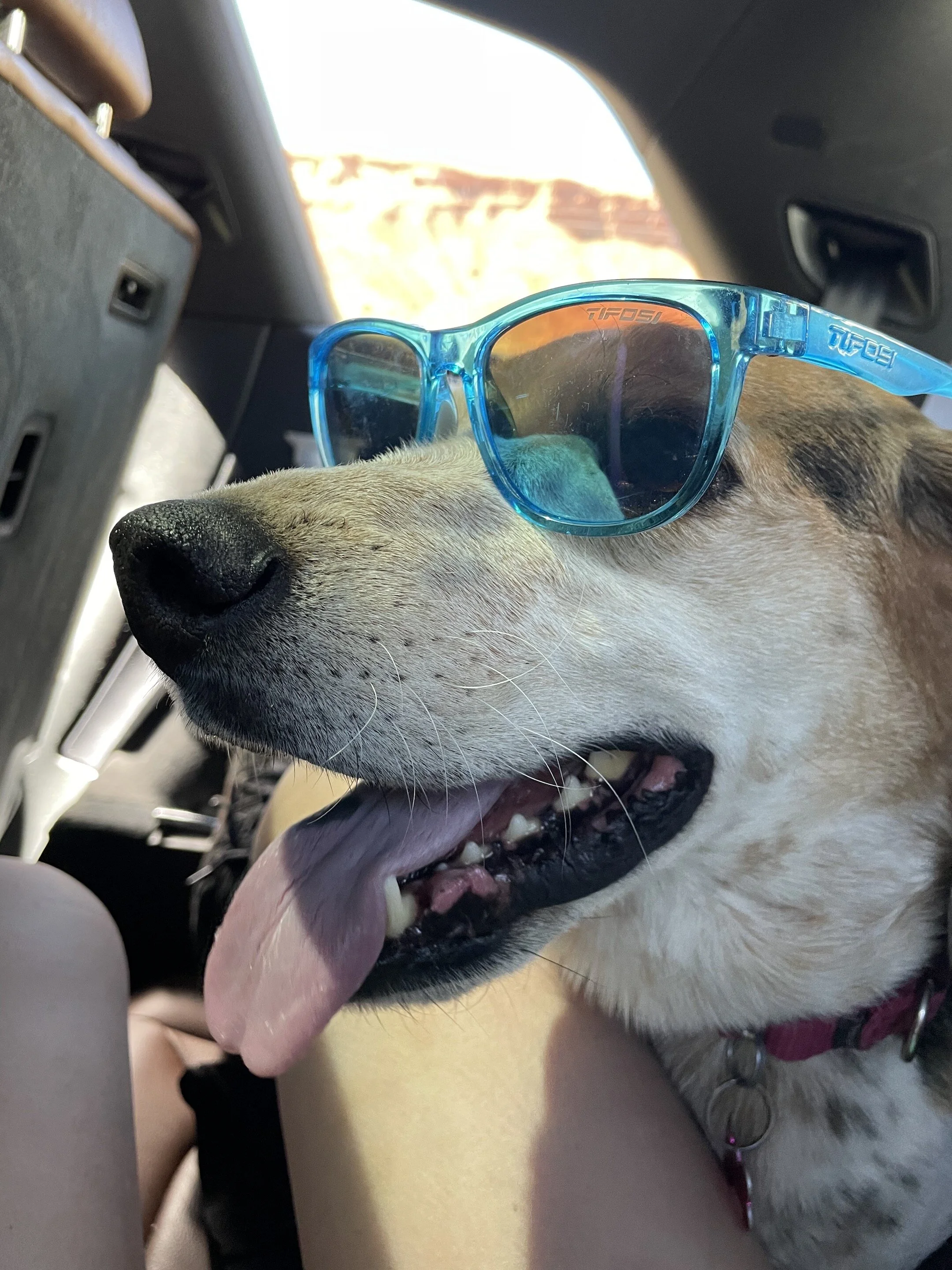 Capitol Reef National Park