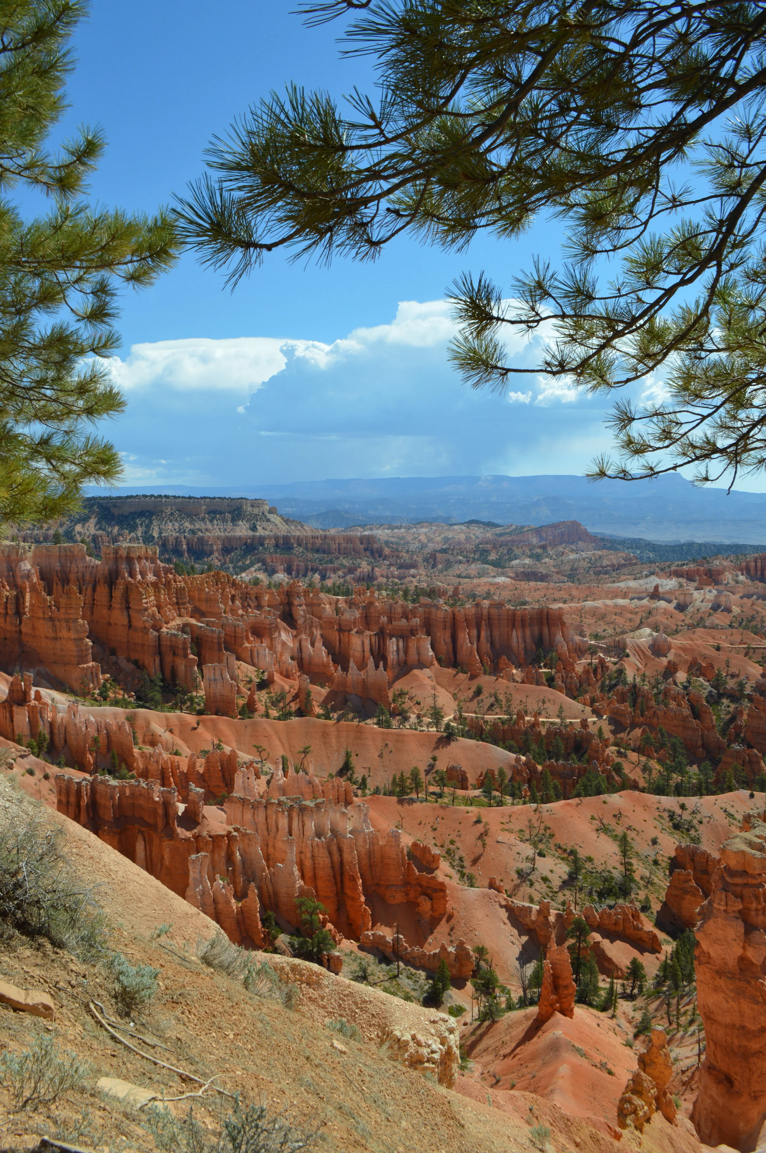 Bryce Canyon National Park