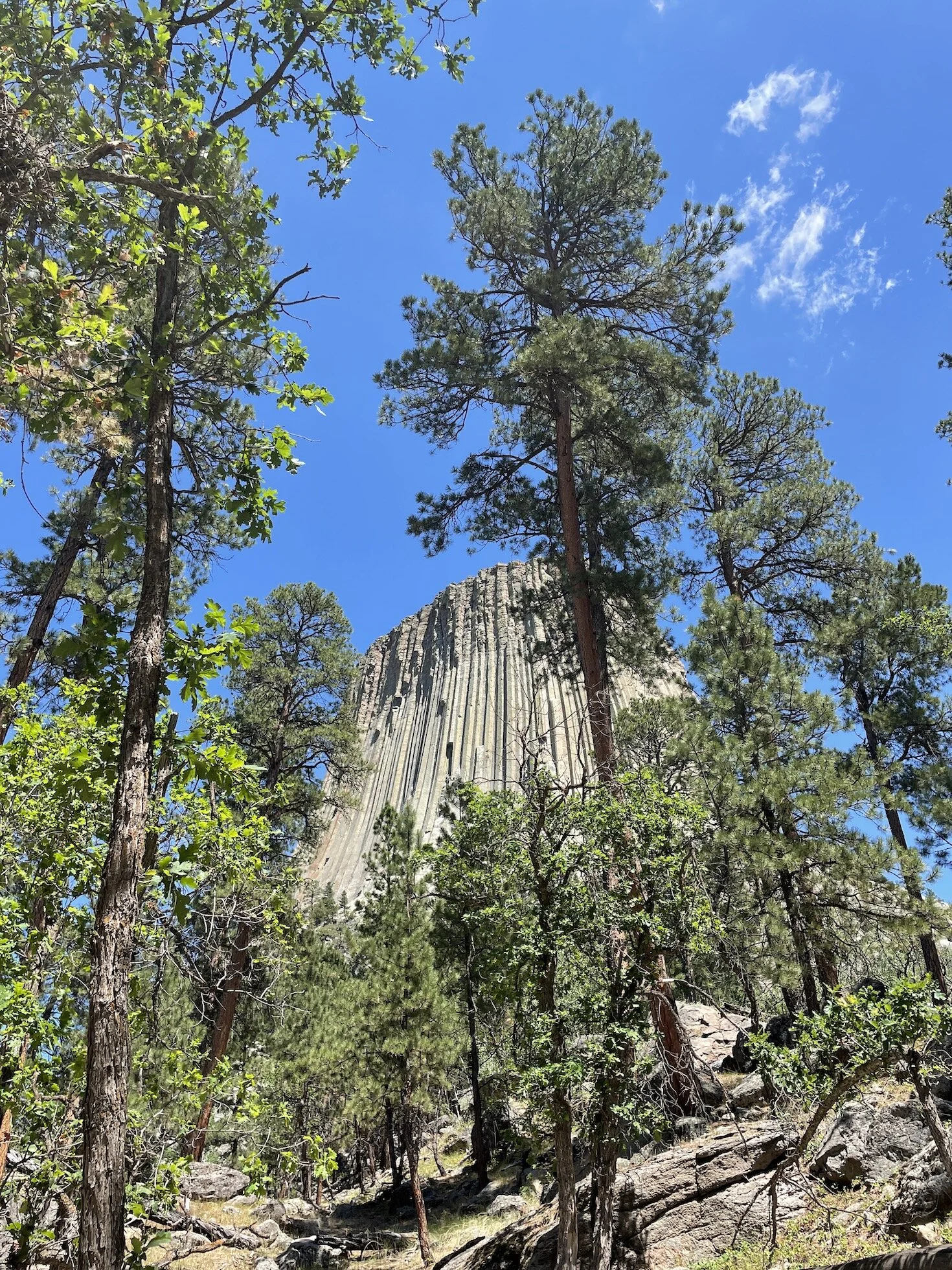 Stopover: Crossing Wyoming