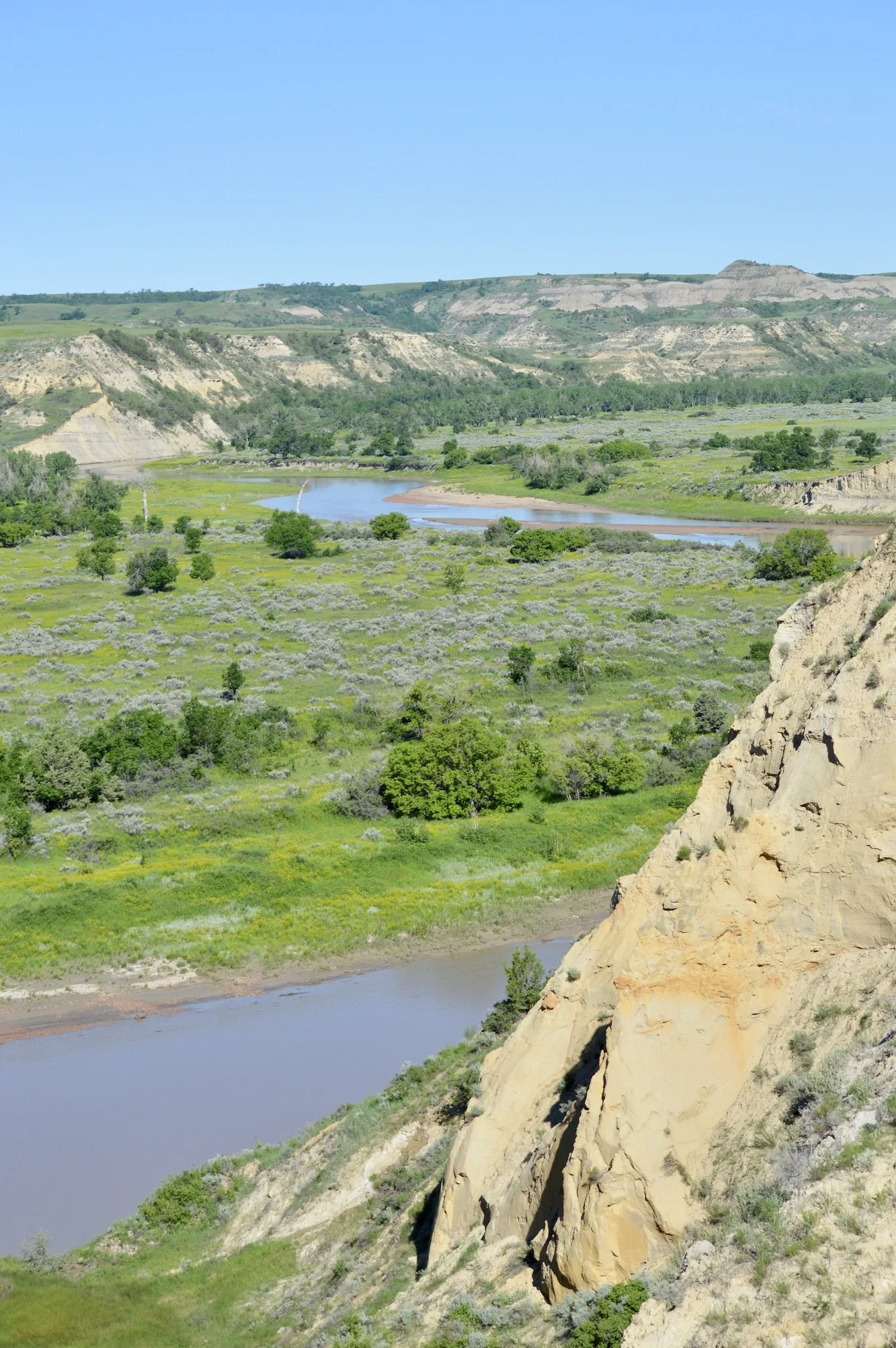 Theodore Roosevelt National Park