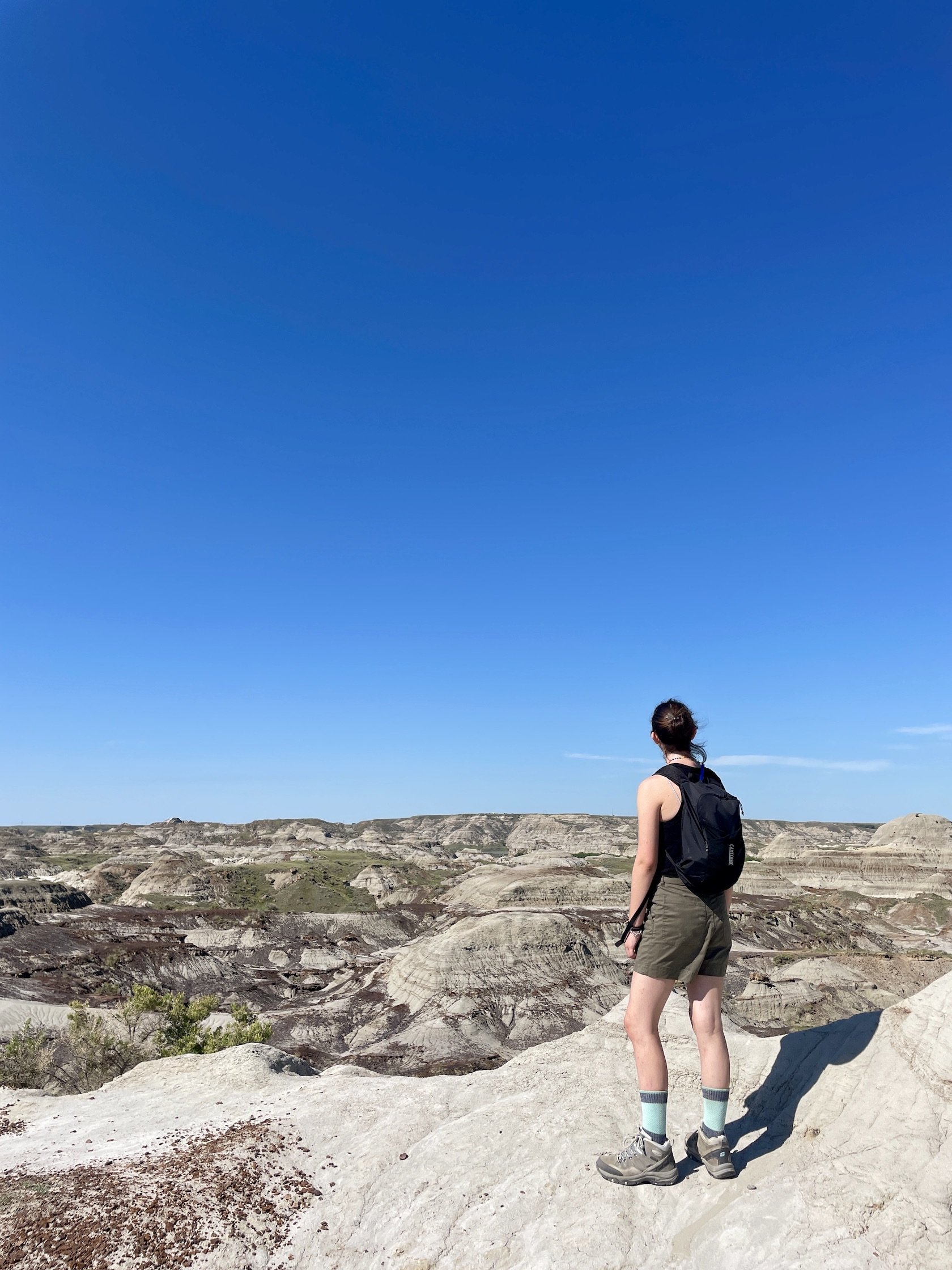 Royal Tyrell &amp; Dinosaur Provincial Park