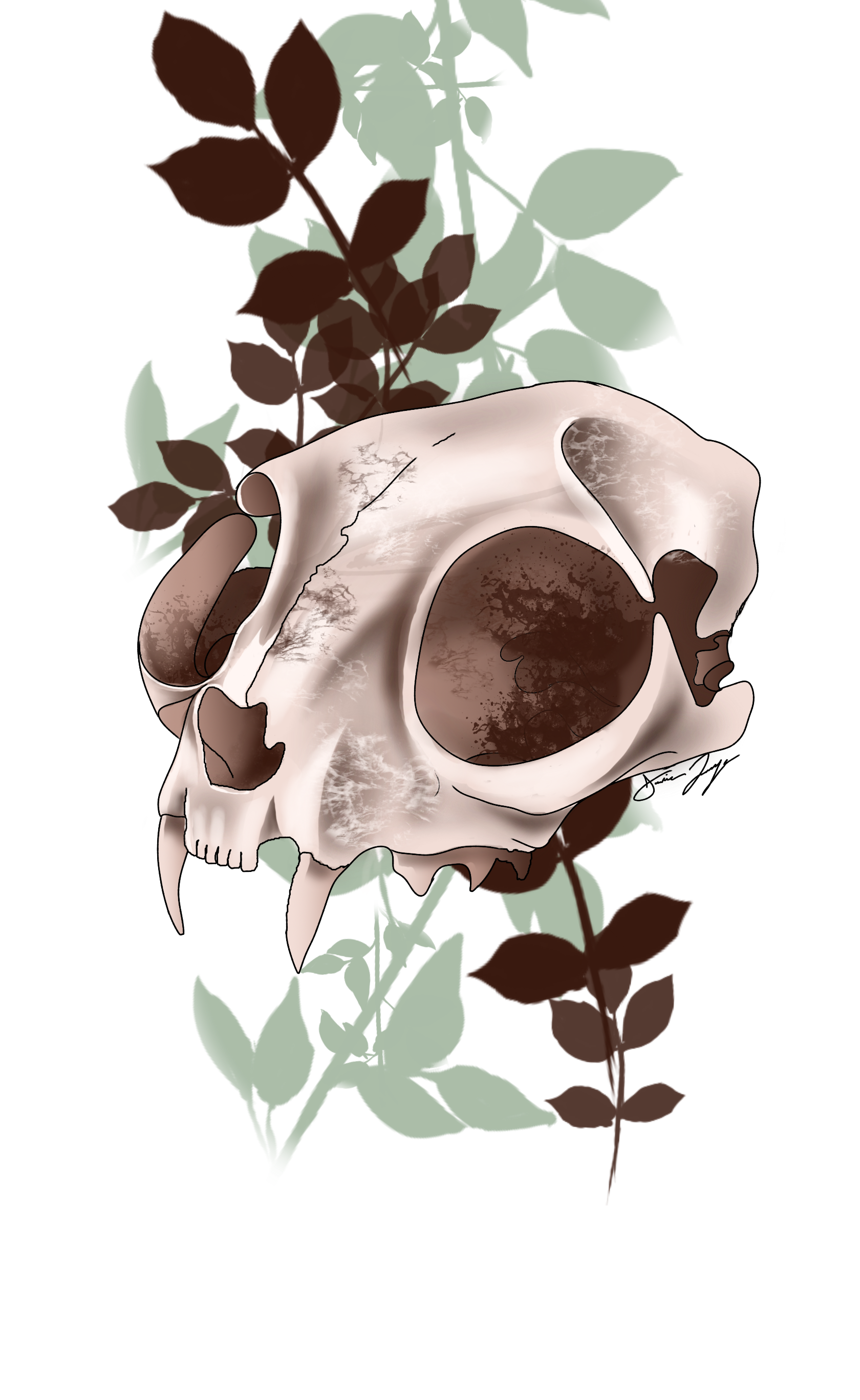 cat skull.png