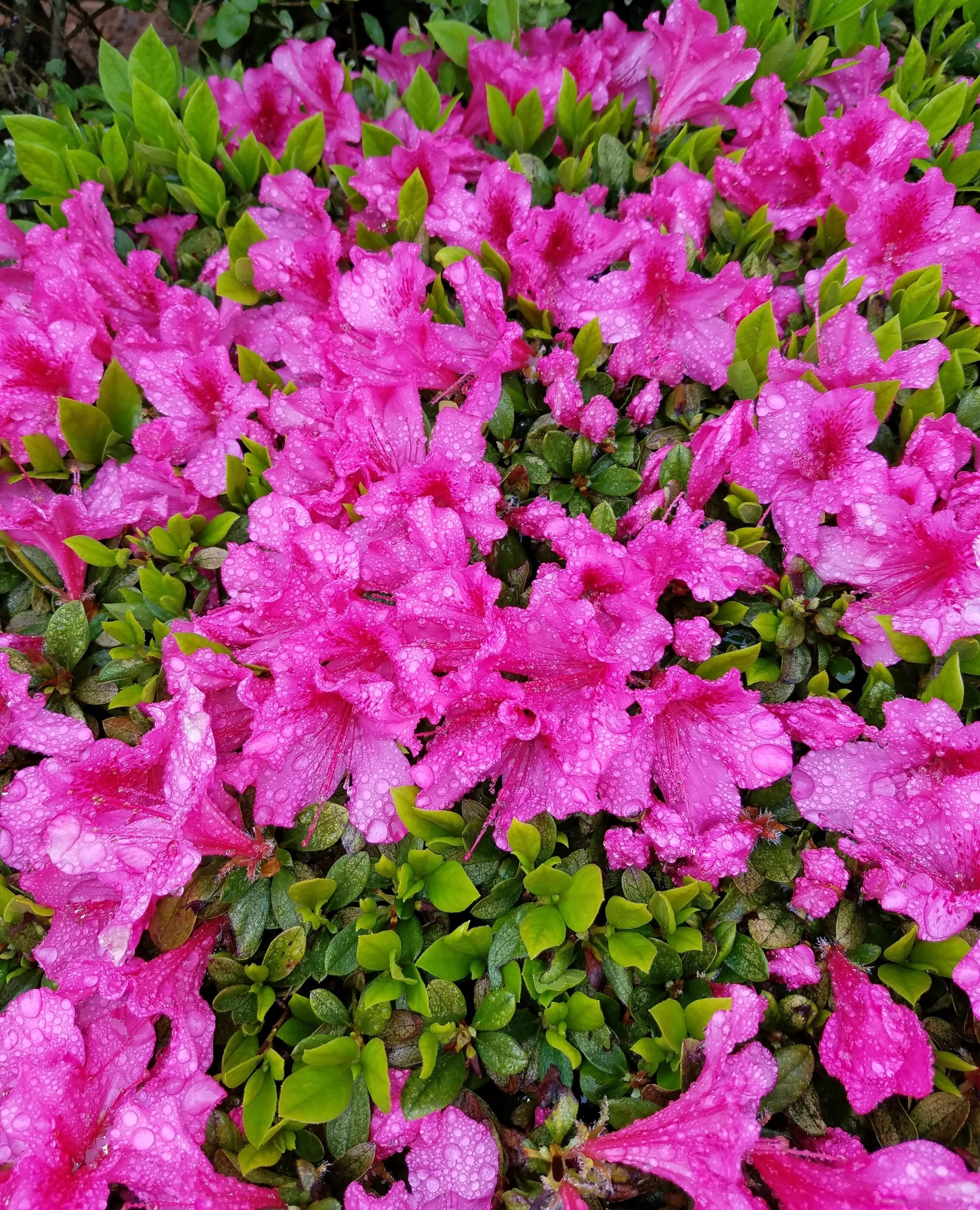 20180407_102416.jpg