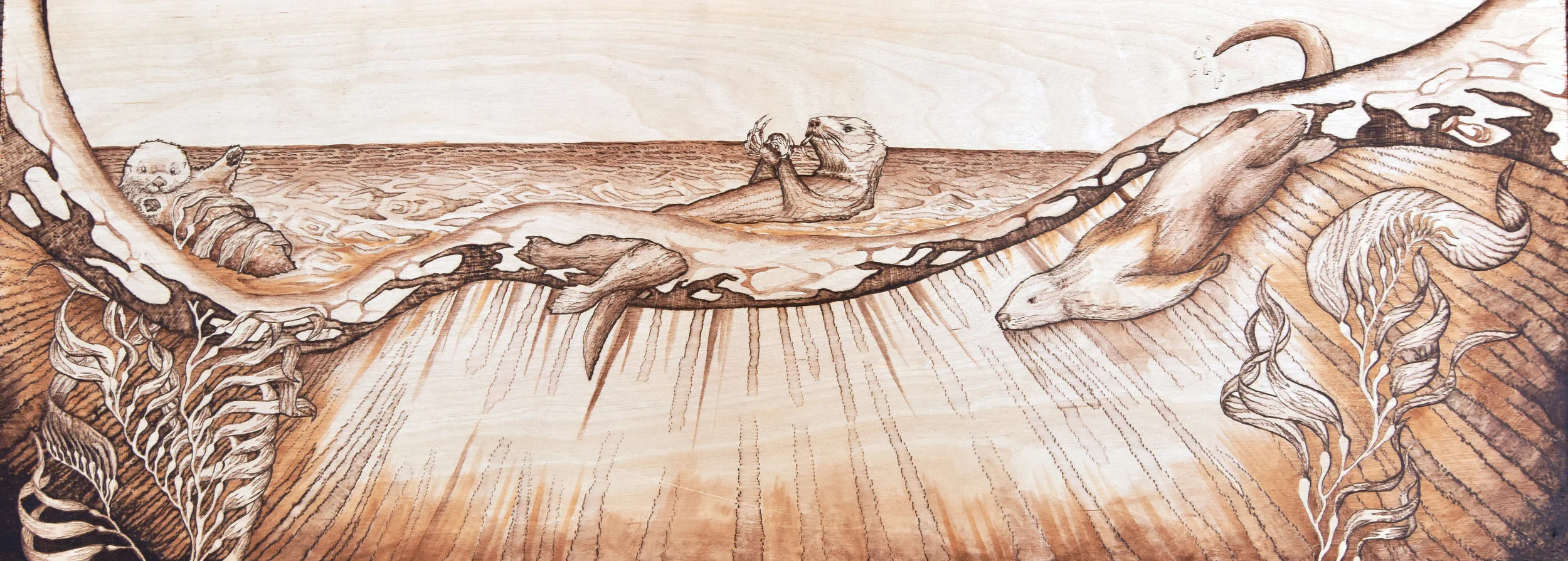otters_cropped.jpg