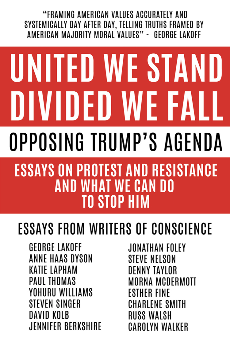 United We Stand Divided We Fall: Opposing Trump's Agenda: Essays On Protest And Resistance And What We Can Do To Stop Him