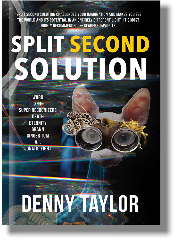 Split Second Solution Garn Press Split Second Solution Garn Press