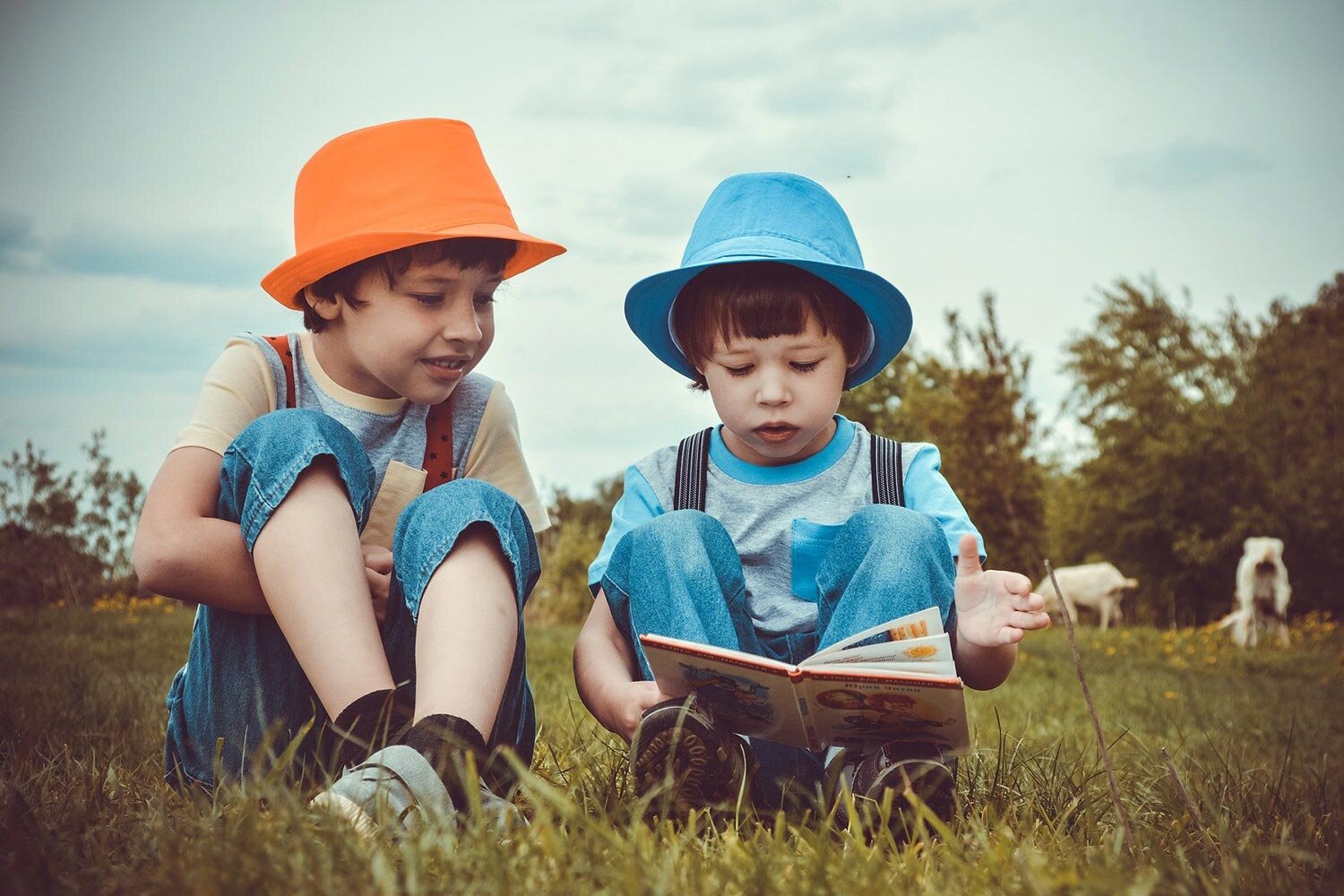 Children Prefer to Read Books on Paper Rather Than Screens