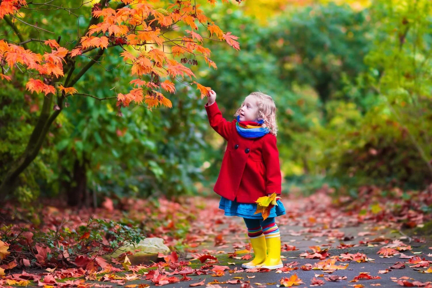 Connecting to Nature Is Good for Kids – but They May Need Help Coping With a Planet in Peril