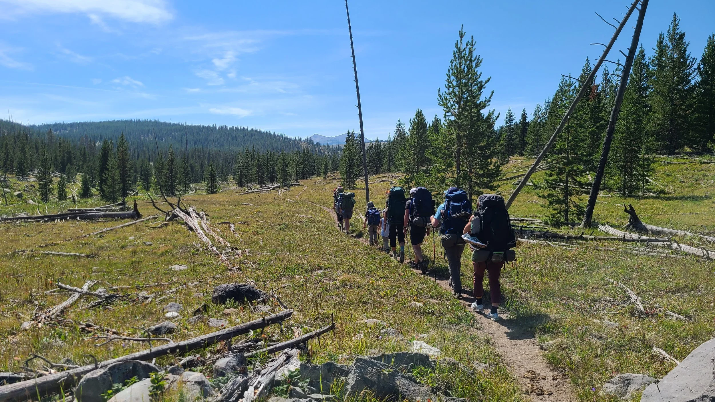 family backpacking on trail in yellowstone