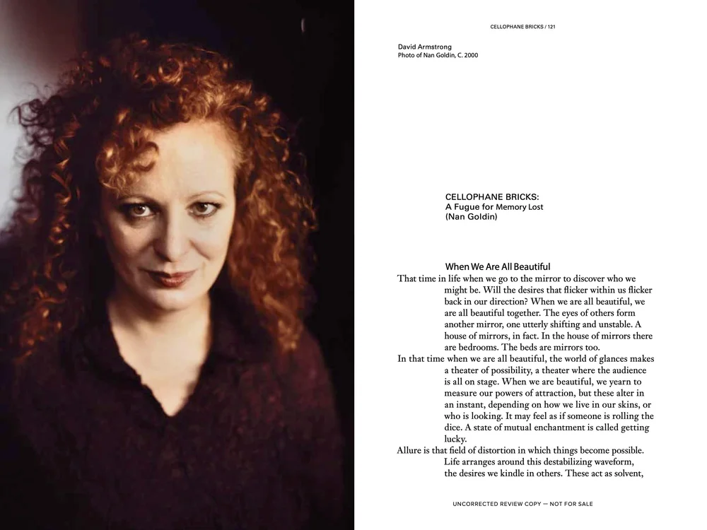 Cellophane Bricks_121.jpg