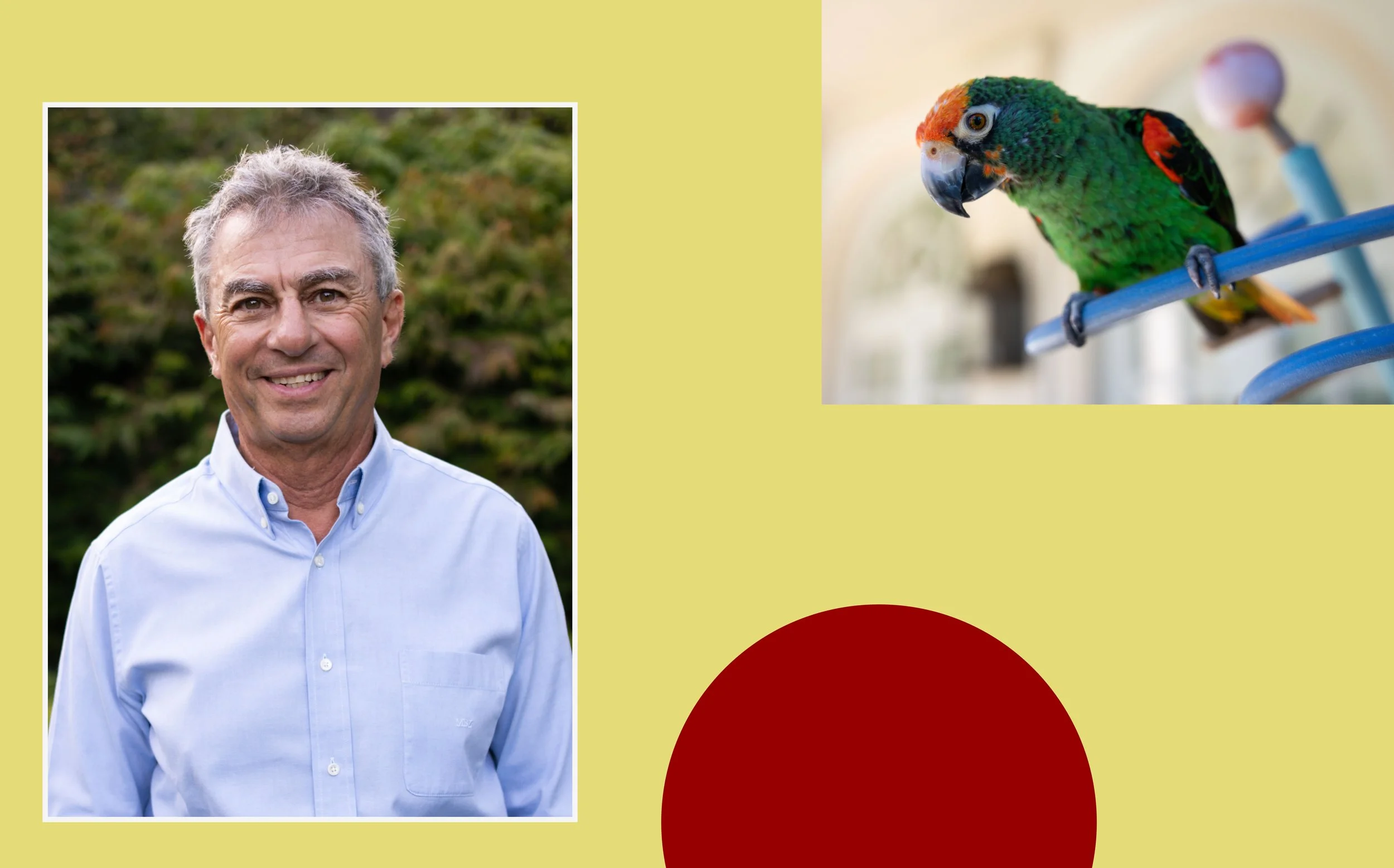 In the Frame: Christie's interviews ZE Books Publisher Michael Zilkha