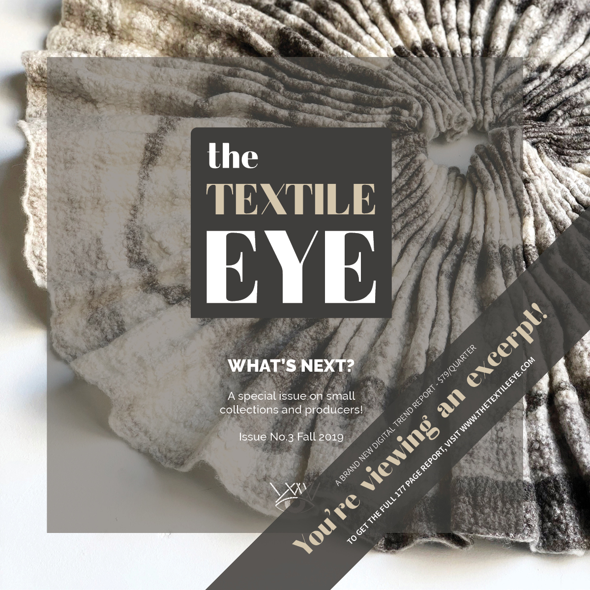 The Textile Eye Issue 2 Summer 19 Excerpt LR21.jpg