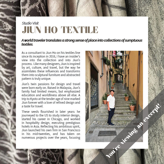 The Textile Eye Issue 3 Fall 19 Excerpt Web13.jpg