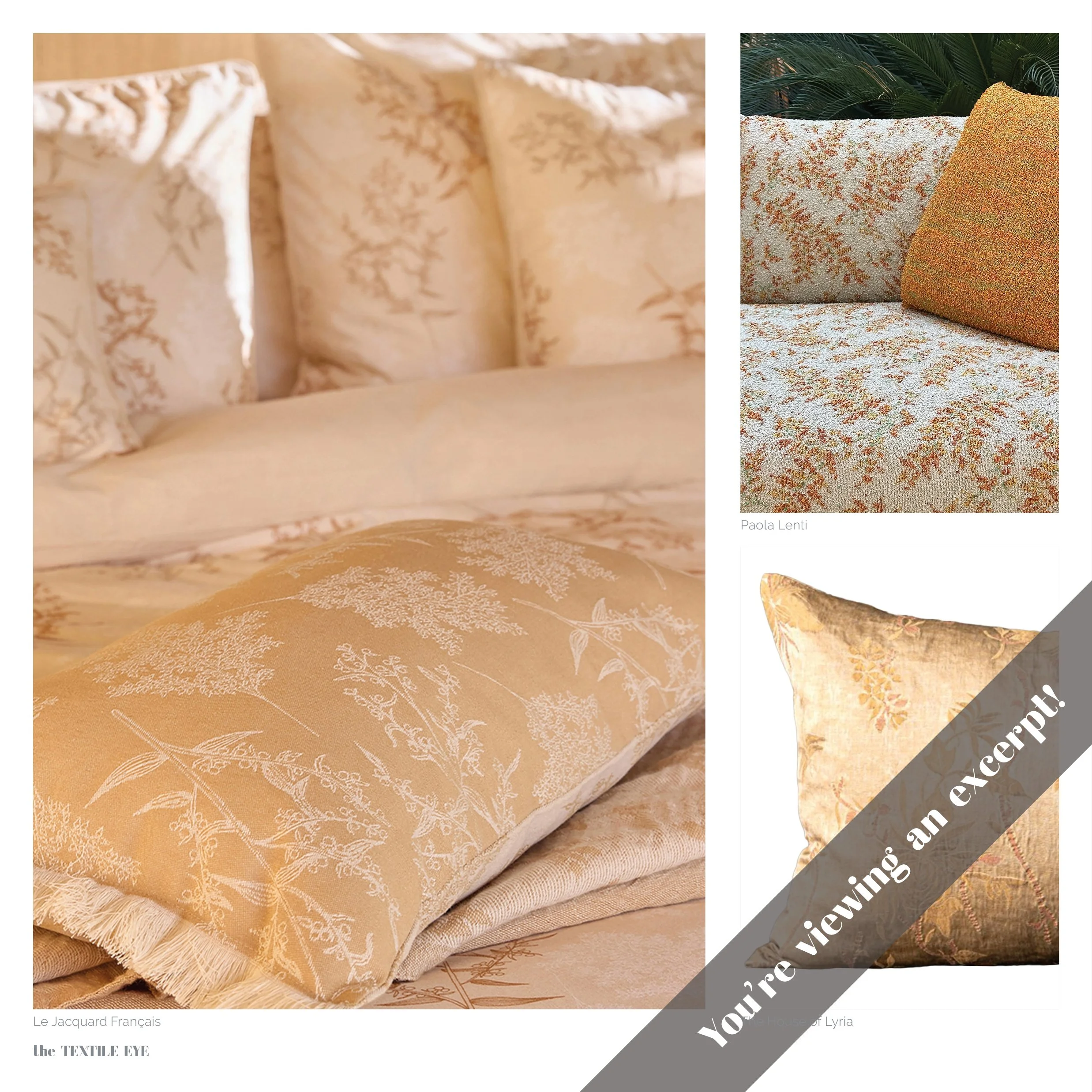 TTE 25 excerpts12.jpg