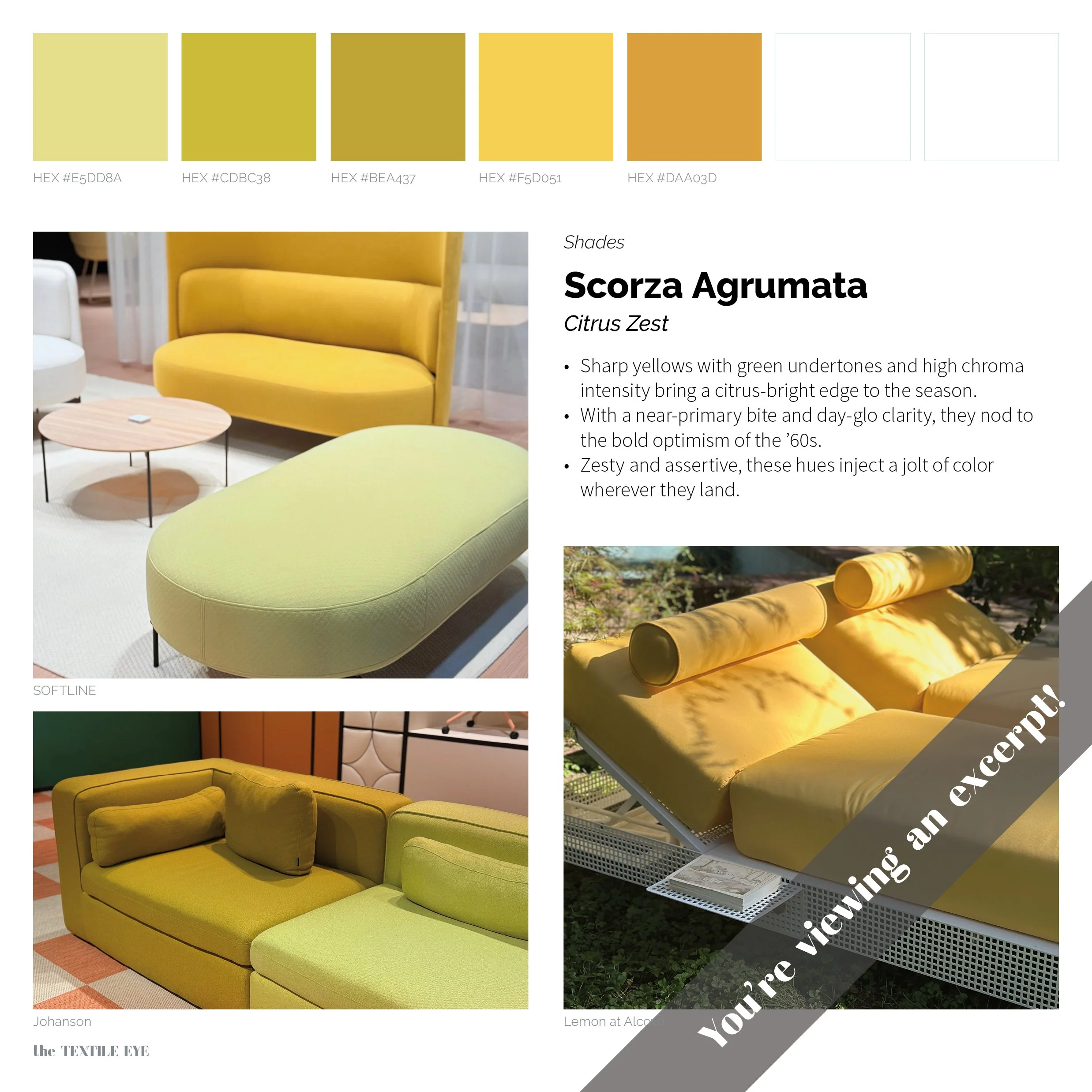 TTE 25 excerpts24.jpg