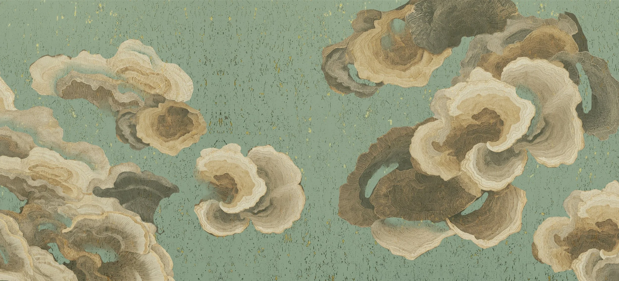 Our Latest Trend Book