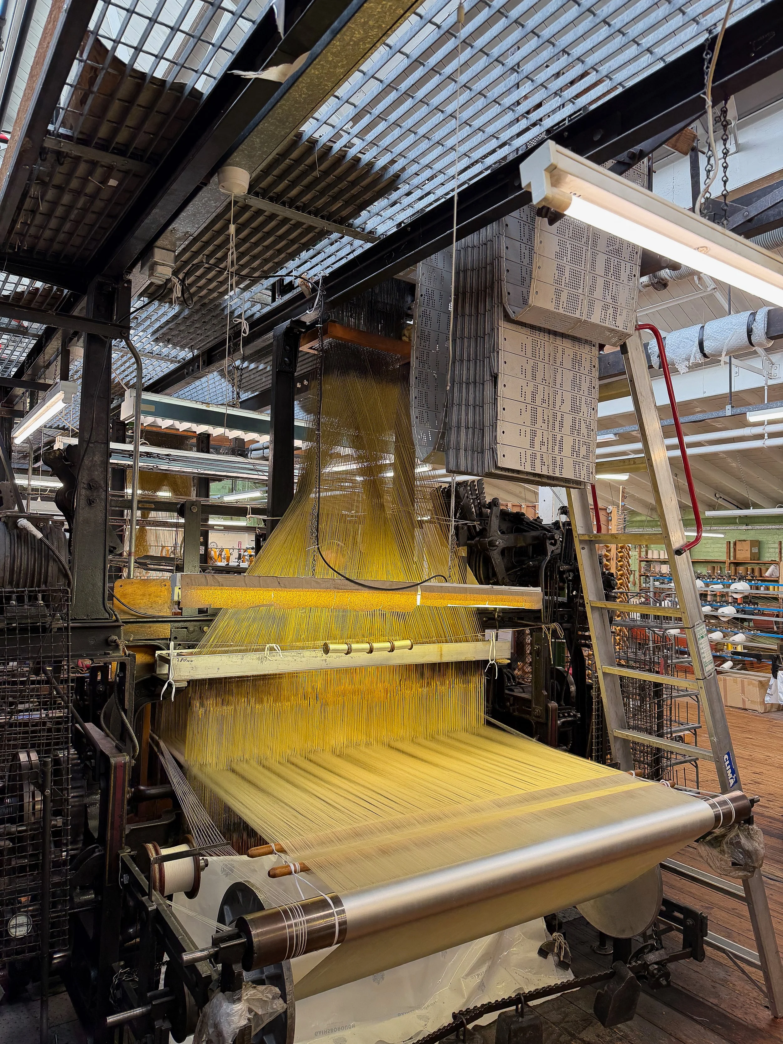 Our Latest Trend Book