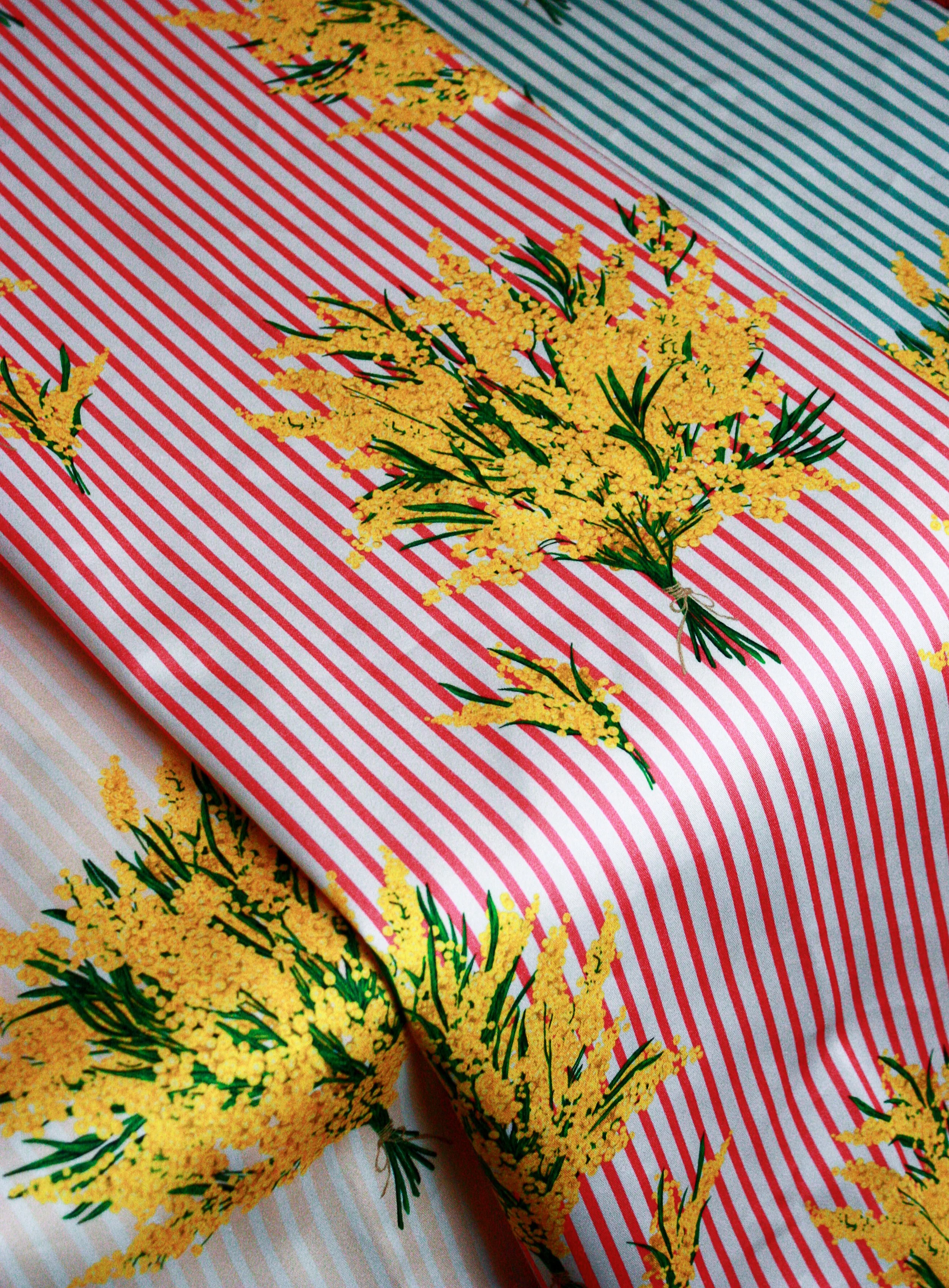 Our Latest Trend Book