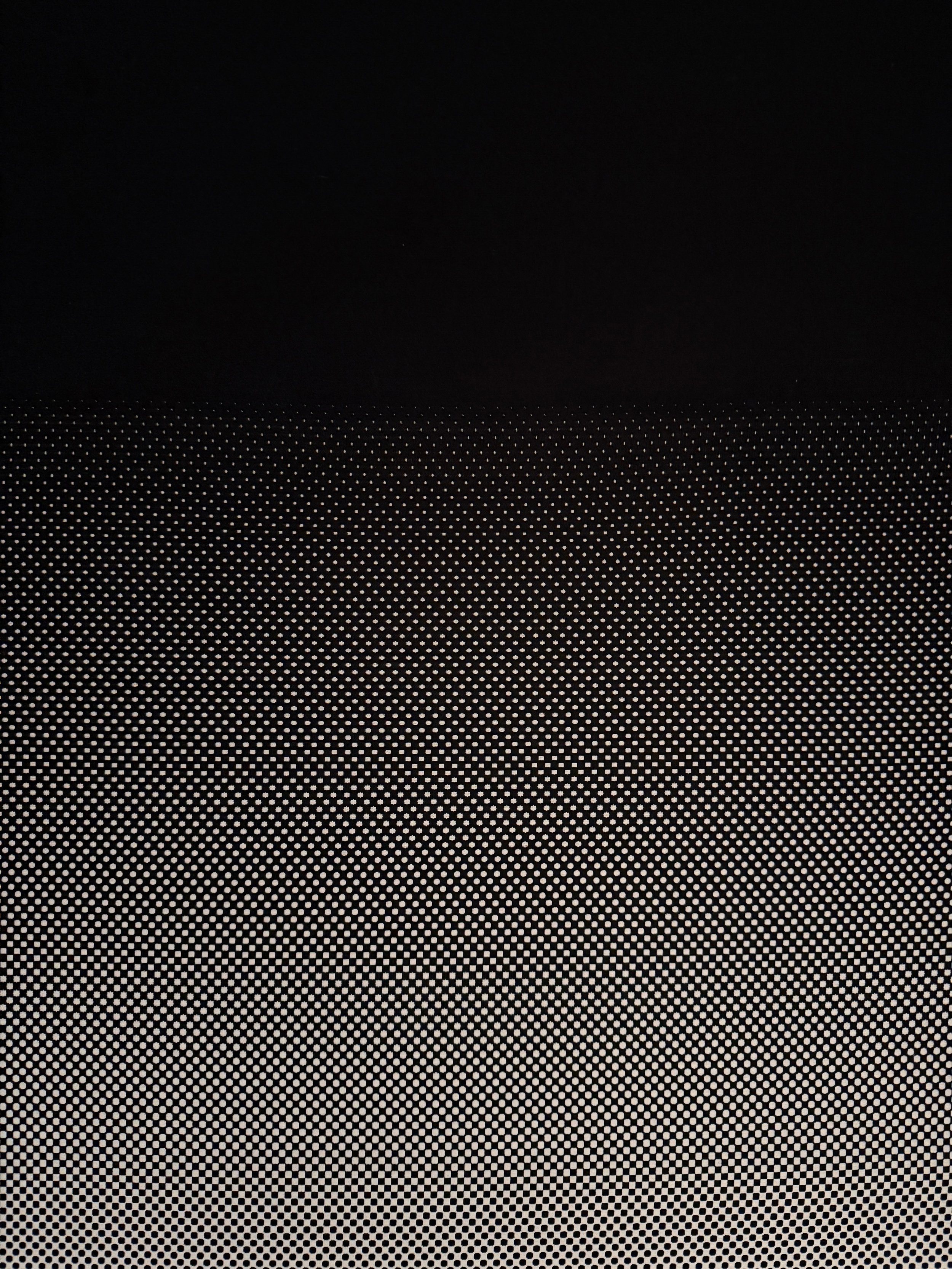 Hosoo x Carsten Nicolai