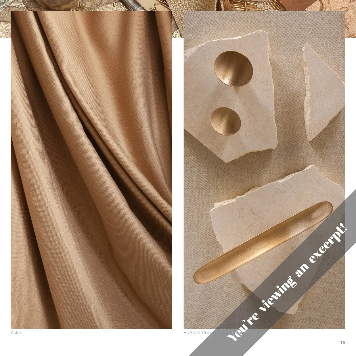 TTE 30 Skill & Sensibility Excerpts14.jpg