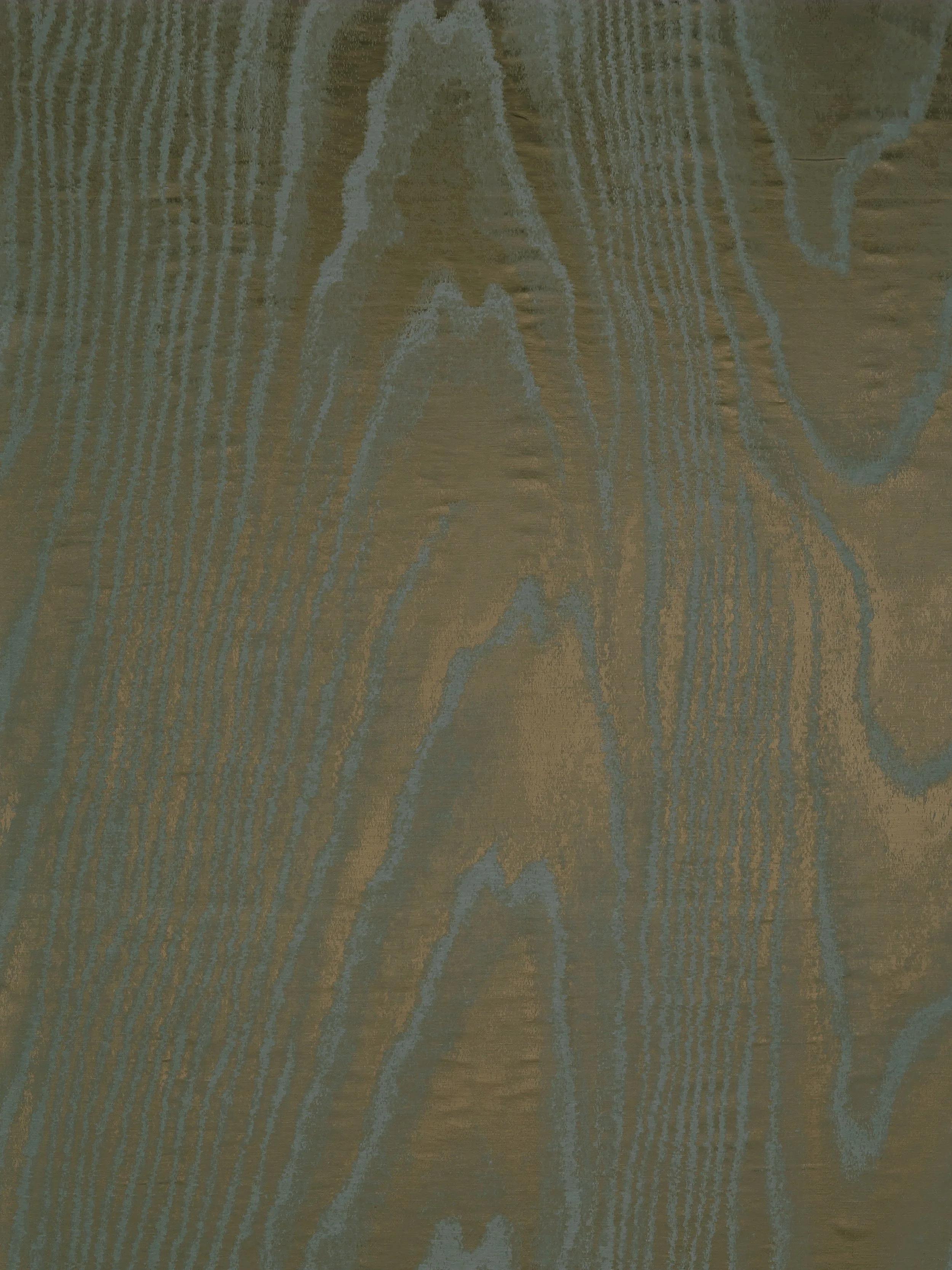 TTE 30-Organic-18-S. Harris.jpg
