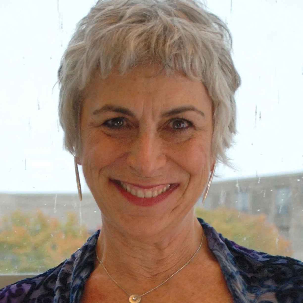 sandy2013ipr.jpg
