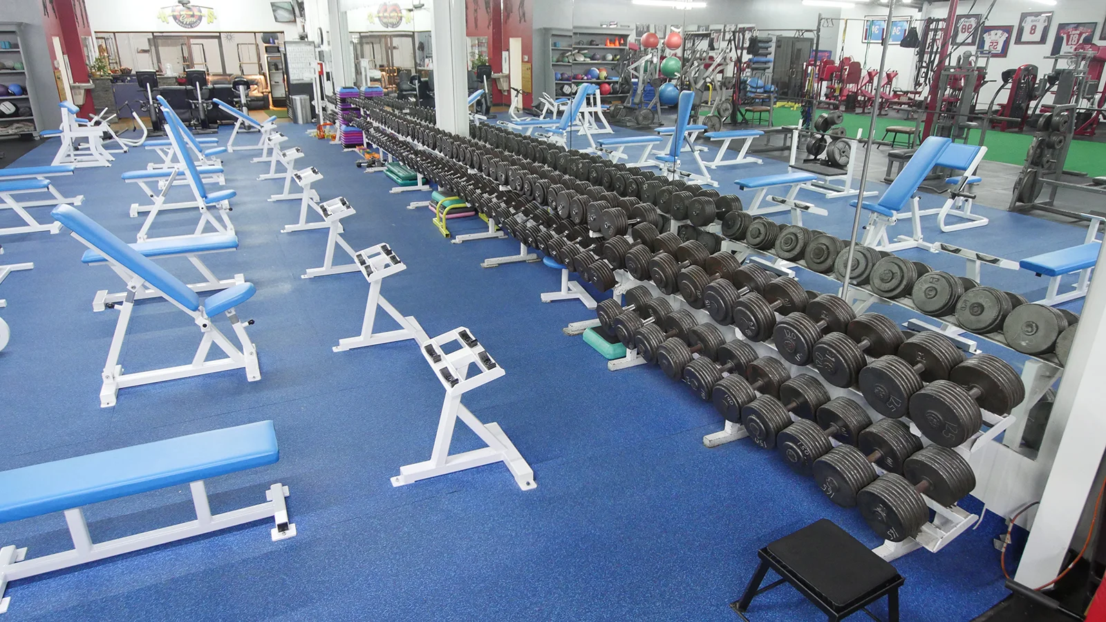 P1170463.JPG