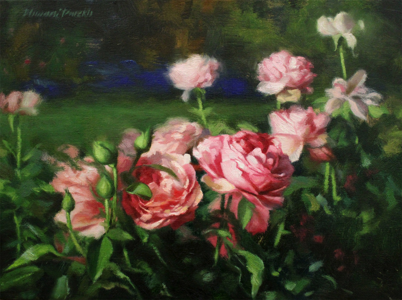  Pink Bloom  16 x 12  Oil on Canvas 