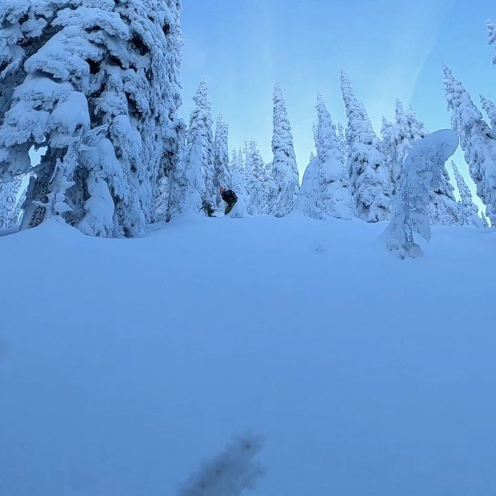 It&rsquo;s always better at the top. Solid day with legend @steffpulse 📷 #hero8black #commit #commitsnowandskate #commitshop #fernie #explorebc #ferniestoke #fernietourism #kootenaylife #tourismalberta  #tourismcanada #snowboarding #powder #powderda