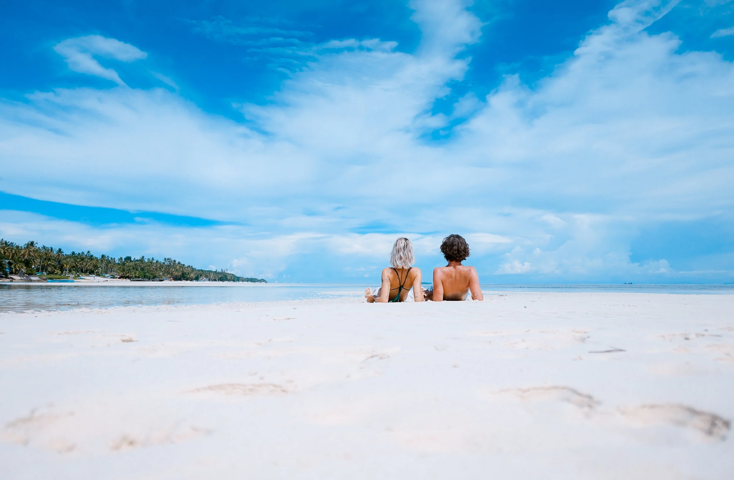 Holiday Survival Guide