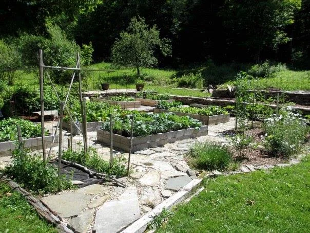 garden beds.jpg
