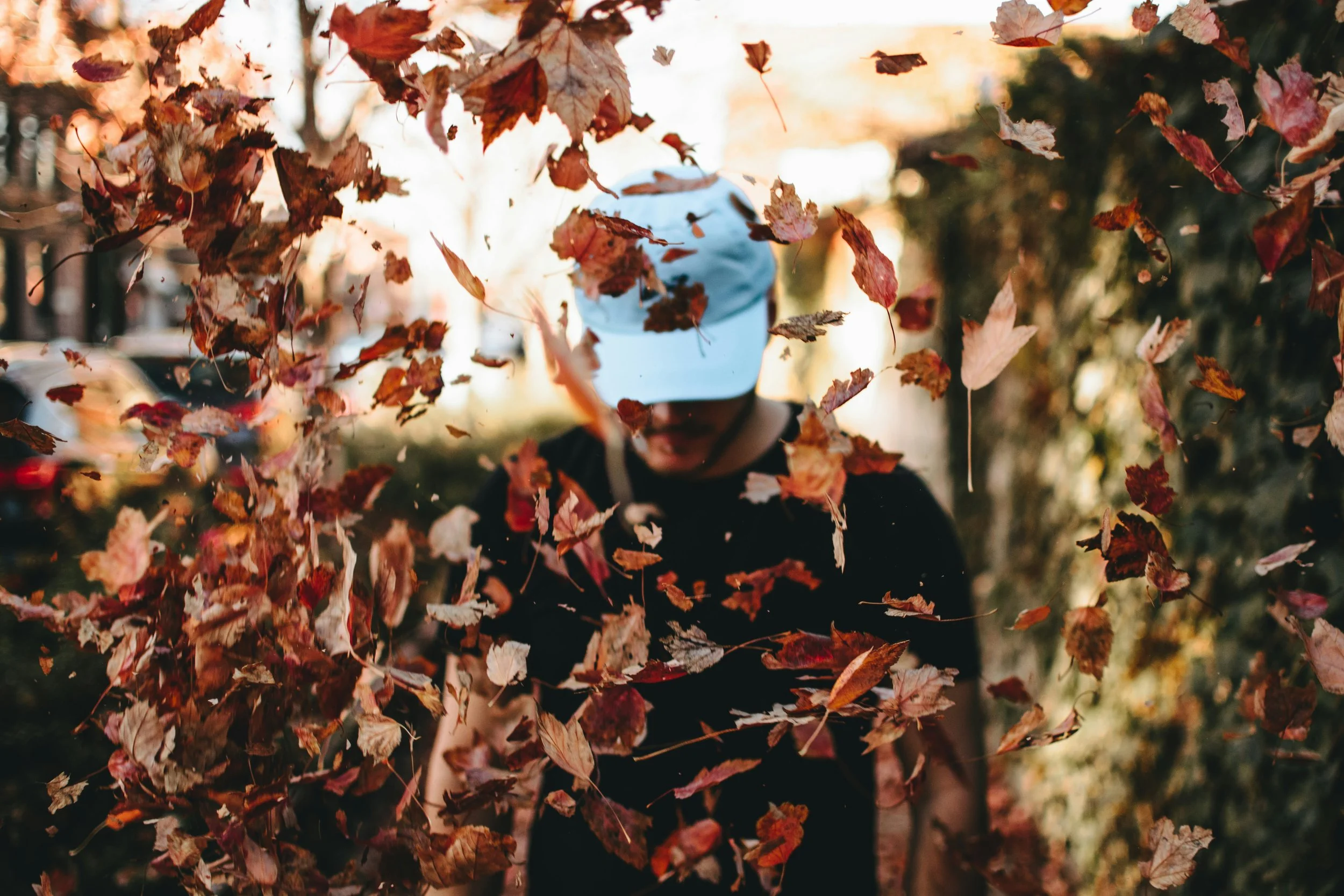 Avoid Anxiety and Stay Vibrant this Season with a Vata-Balancing Practice