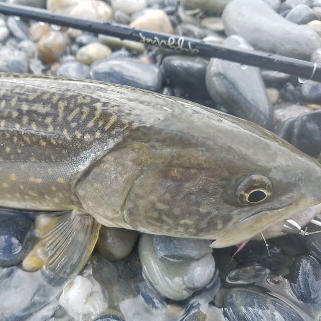 Canmore Fishing Adventures